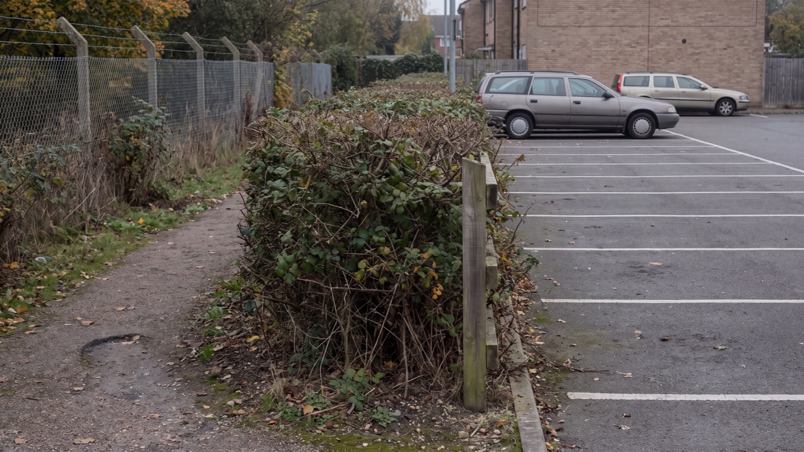 Parking access setting in natural light