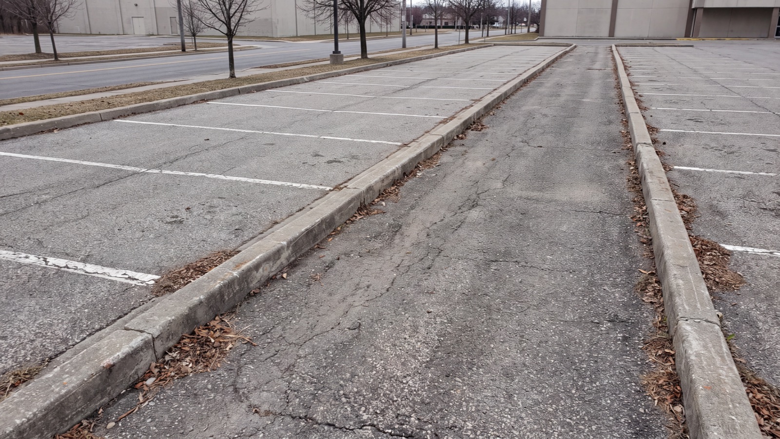 Parking access setting in natural light